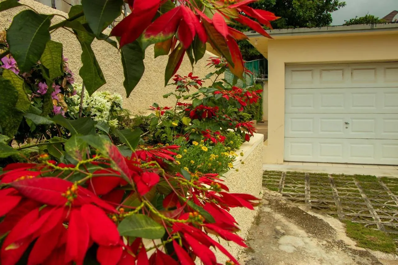 The Whyte House Villa Montego Bay 0*,  Jamaica